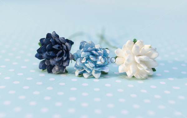 Scrapbooking. Colorful paper flowers lay on paper with polka dots