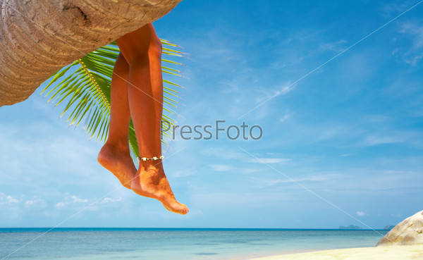 view of nice smooth woman’s legs hanging from the palm