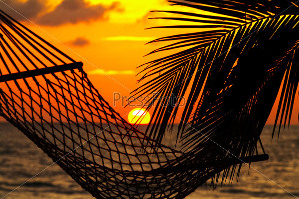 silhouette of hammock and palm leaf  during tropical sunset