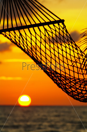 silhouette of hammock during tropical sunset