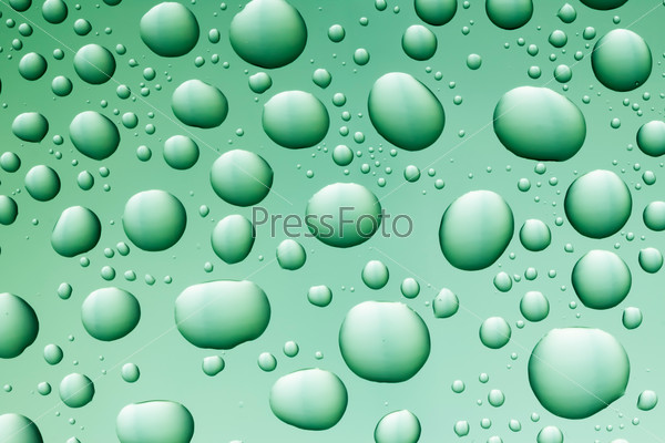 many green water drops on even transparent surface