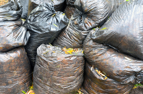 Пластиковые мешки с опавшими листьями