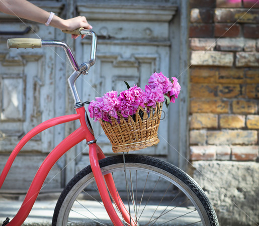 Vintage bicycle with basket with peony flowers near the old wooden door