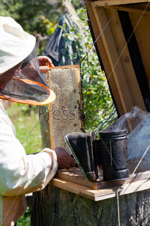 Bee-keeper smokes bees from a beehive a smoke by means of bee smoker