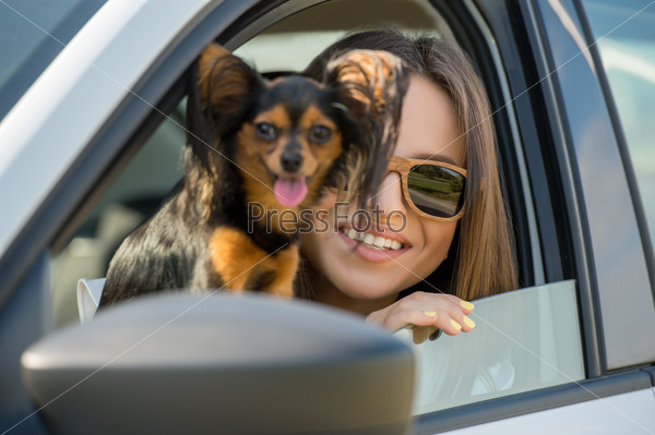 Женщина и собака в машине