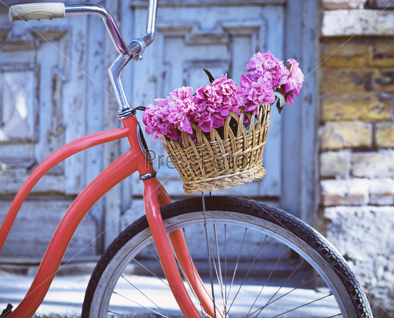 Vintage bicycle with basket with peony flowers