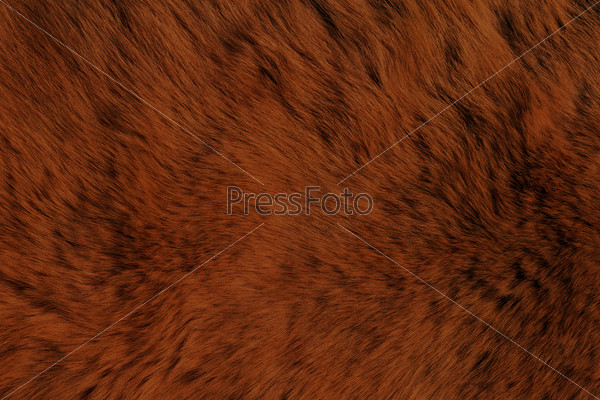 Fur Animal Textures, Bear