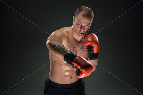 Молодой боксер