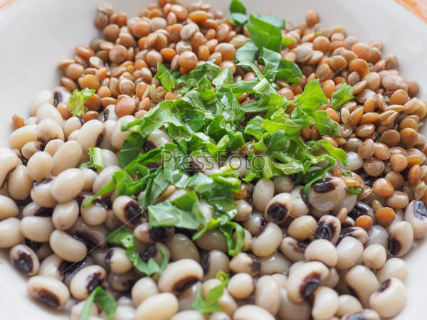 Beans and lentils legumes with rocket salad