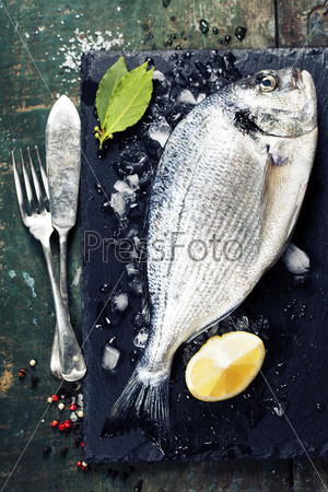 Food background with Fish and Wine