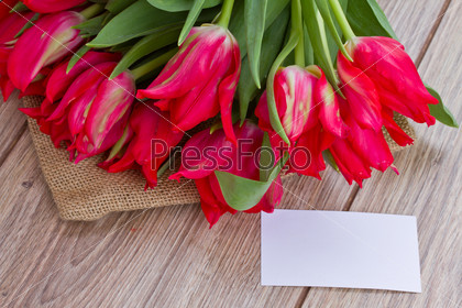 fresh red tulips laying on wooden table with white greeting card