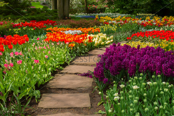Stone path winding in spring flower garden with blossoming flowers