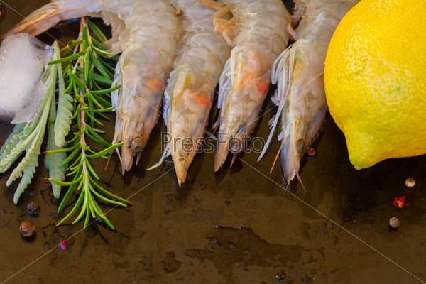 border of fresh  raw prawns with spices on black background