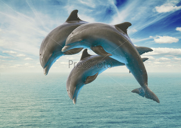three jumping dolphins, seascape with deep  ocean  waters and cloudscape