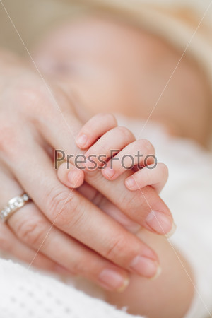 Holding Hands. hand the sleeping baby in the hand of mother close-up. Baby hand gently holding adult\'s finger. Closeup of a baby hand in hand mother