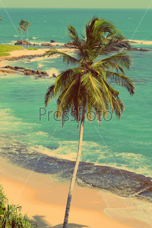 tropical beach - vintage retro style