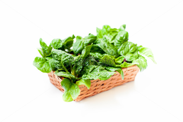 Brown basket with  green raw spinach leaves, close up differential focus on white background