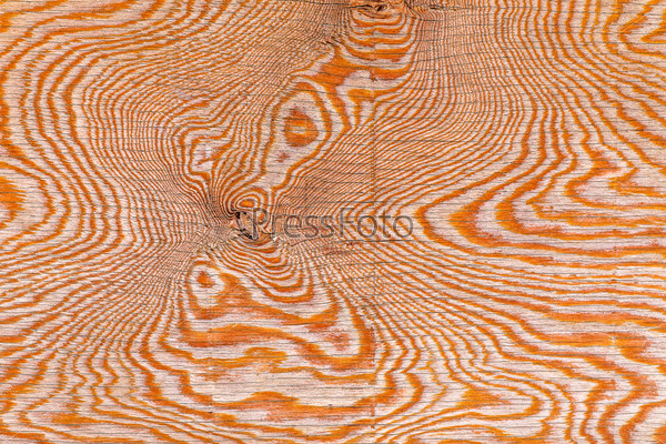 Bright colorful wood texture with natural pattern as a natural background