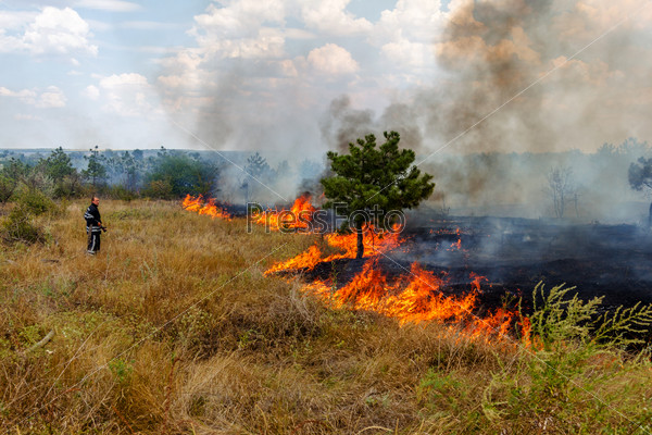 Odessa, Ukraine - August 4, 2012: Severe drought Fires destroy forest and steppe. Firefighters in protective clothing quenched with water from hydrants pockets fire, August 4, 2012 in Odessa, Ukraine.