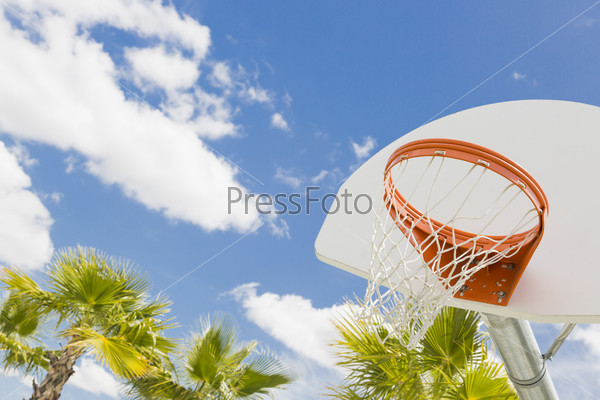 Abstract of Community Basketball Hoop and Net and Palm Trees Against Blue Sky.