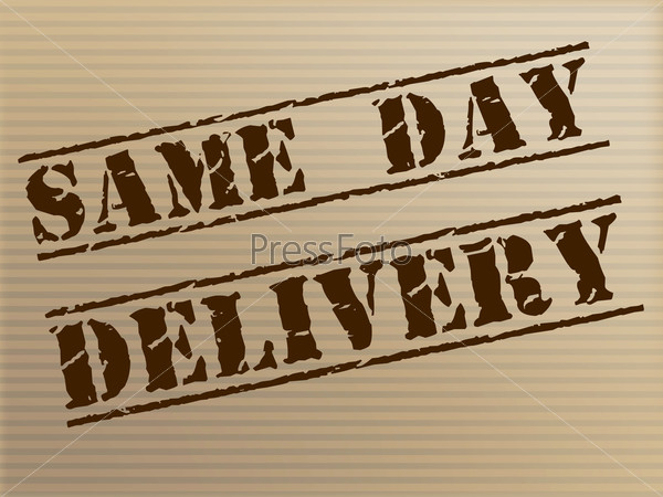 Same Day Delivery Meaning Fast Shipping And Logistics