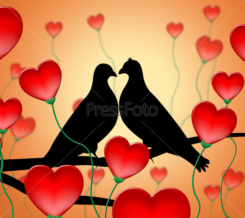 Love Birds Showing Affection Loving And Devotion