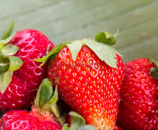 Fresh Strawberries Showing Organic Products And Healthful