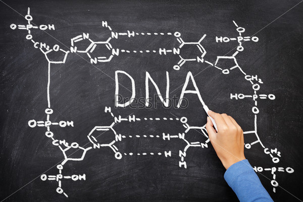 Цепочка ДНК на доске