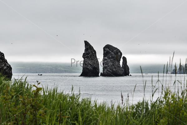 Beautiful landscape of Kamchatka: summer view on Three Brothers Rocks - natural monument of Kamchatka in Avachinskaya Bay (Avacha Bay) on a cloudy overcast day. Far East, Russia, Kamchatka Peninsula.