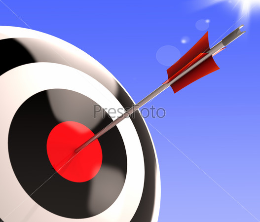 Bulls eye Target Showing Excellence Accuracy And Skill
