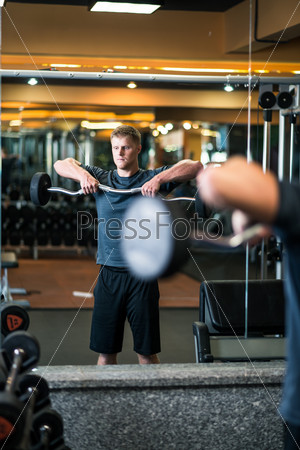 Young man lifting weight in the sports club