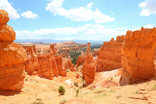 Bryce Canyon National Park landscape, Utah, United States. Nature scene showing beautiful hoodoos, pinnacles and spires rock formations. including Thors Hammer. Summer.