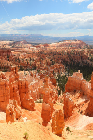 Bryce Canyon National Park landscape, Utah, USA. Nature scene showing beautiful hoodoos, pinnacles and spires rock formations. including Thors Hammer. Image is from summer.