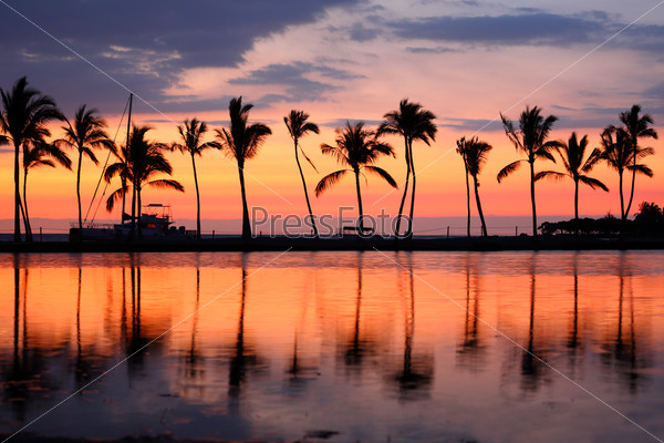 Paradise beach sunset or sunrise with tropical palm trees. Summer travel holidays vacation getaway colorful concept photo from sea ocean water at Big Island, Hawaii, USA.