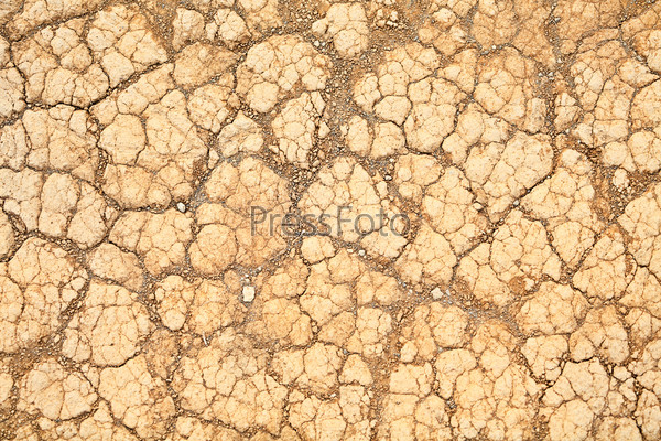 Desert sand texture background. Dry land soil closeup.
