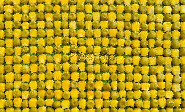 background of peas and corn laid by hand. remove debris . canned peas and corn . real.