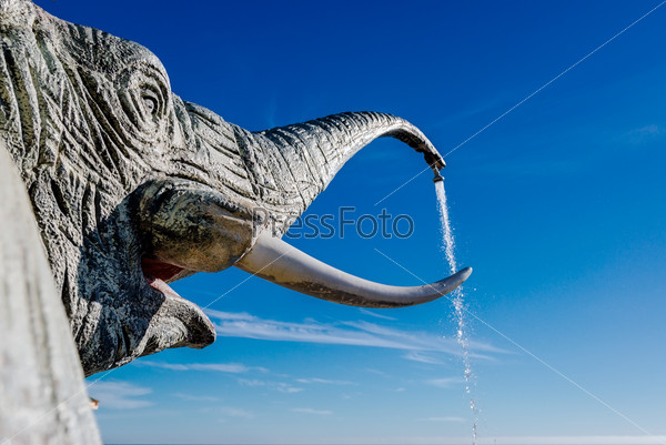 Elephant shower against blue sky