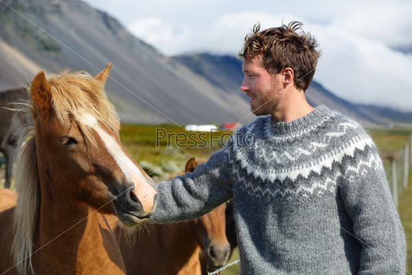 Icelandic horses - man petting horse on Iceland. Man in Icelandic sweater going horseback riding smiling happy with horse in beautiful nature on Iceland. Handsome Scandinavian model.