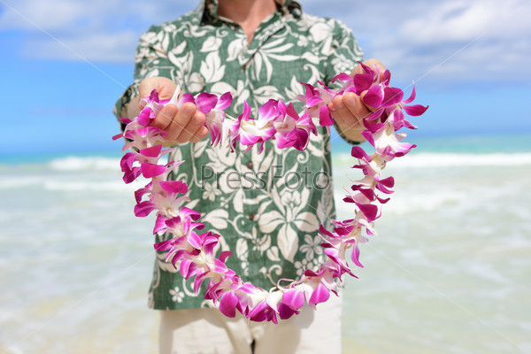 Hawaii tradition - giving a Hawaiian flowers lei. Portrait of a male person holding a garland of flowers as the Hawaiian culture welcoming gesture for tourists travelling to the Pacific islands.