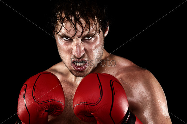 Boxer Boxing