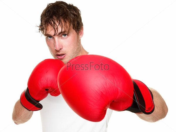 Fitness boxer boxing. Man punching with red boxing gloves isolated on white background. Fit fitness boxer sweating looking at camera. Caucasian male fitness model in his 20s.