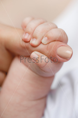 hand the sleeping baby in the hand of mother close-up. Extreme closeup of a baby\'s hand in mother\'s finger. Close-up of baby\'s hand holding mother\'s finger