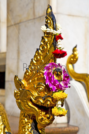 in the temple bangkok asia   thailand abstract cross        step     wat  palaces