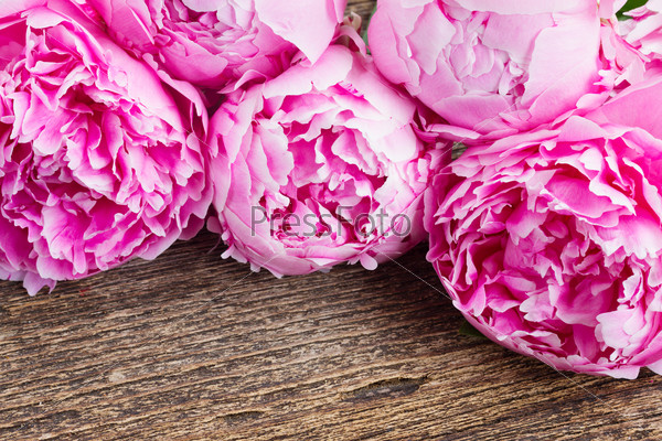 bouquet  of fresh pink  peonies on wooden background