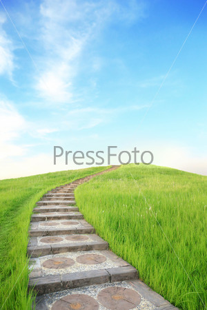 green grass and up stairs with blue sky and sunshine, great for your design