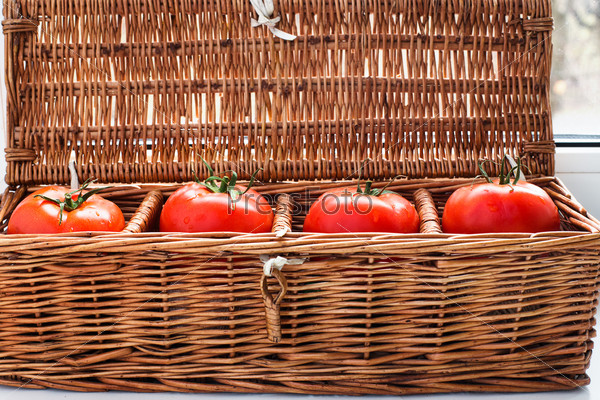Four tomatoes with dew lying separately in wicker retro box