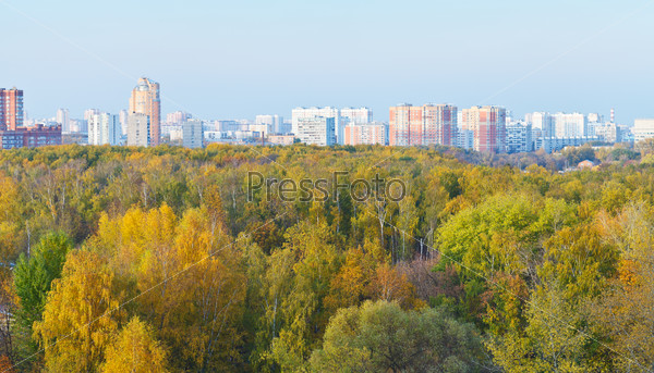 view of autumn forest and city in sunny evening