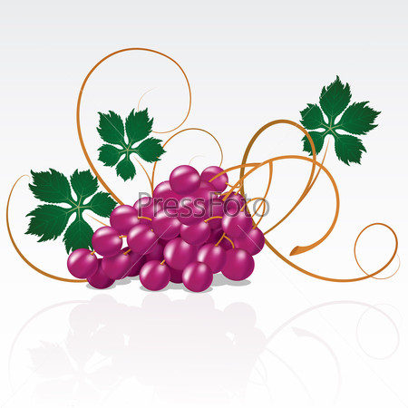 Raster version of vector grapes with green leaves on a white background