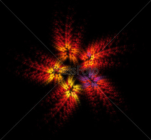 five-petal red flower fractal on black background