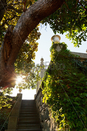 steps from garden in Vorontsov (Alupka) Palace in Crimea